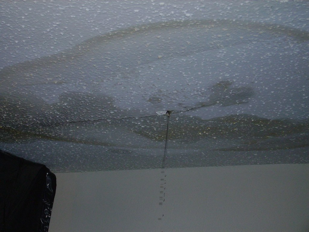 blog-image-4-leaky-ceilings