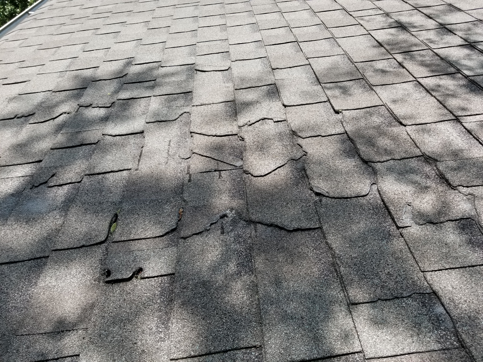 blog-image-5-damaged-shingles