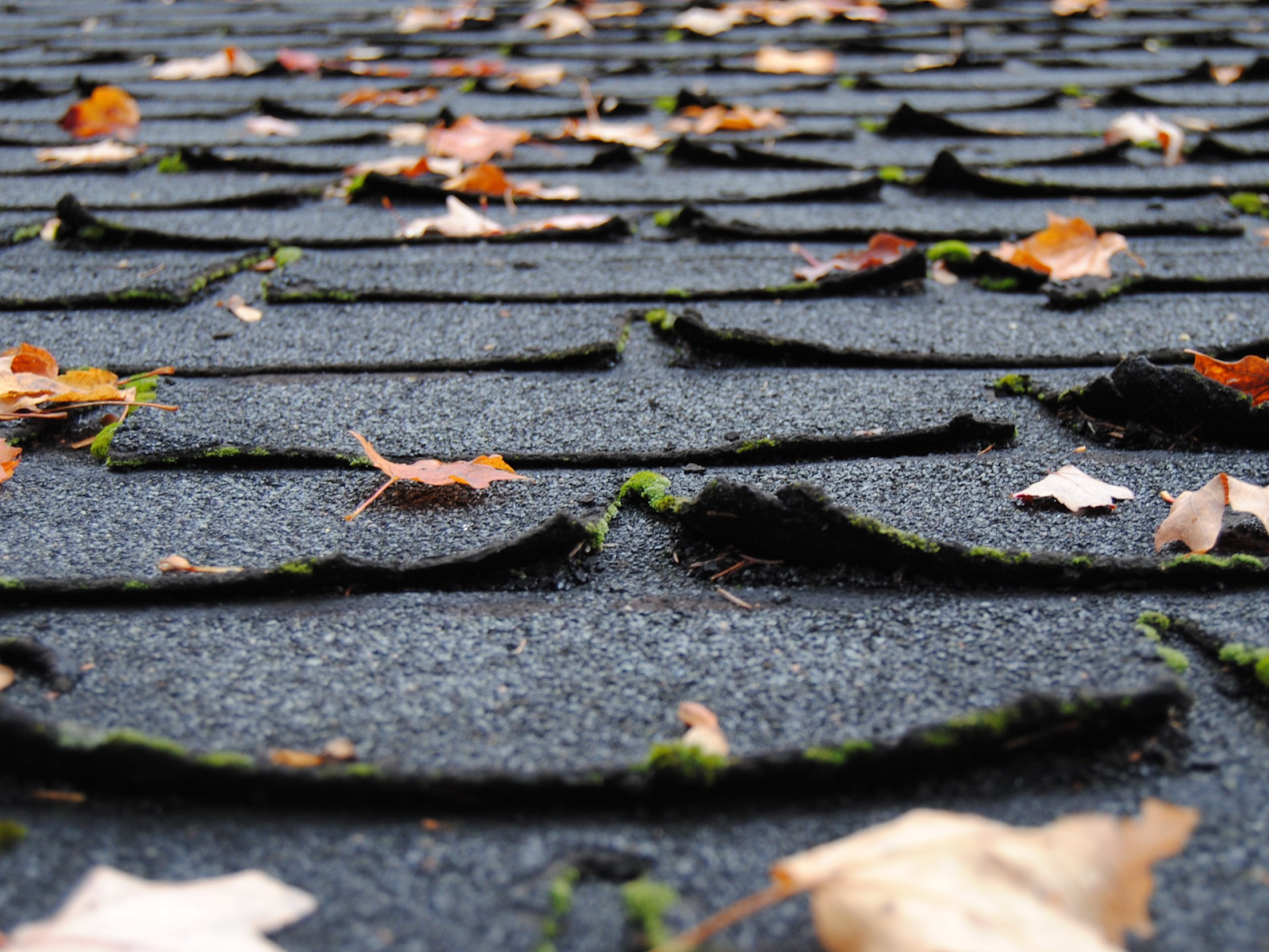 blog-image-6-more-damaged-shingles