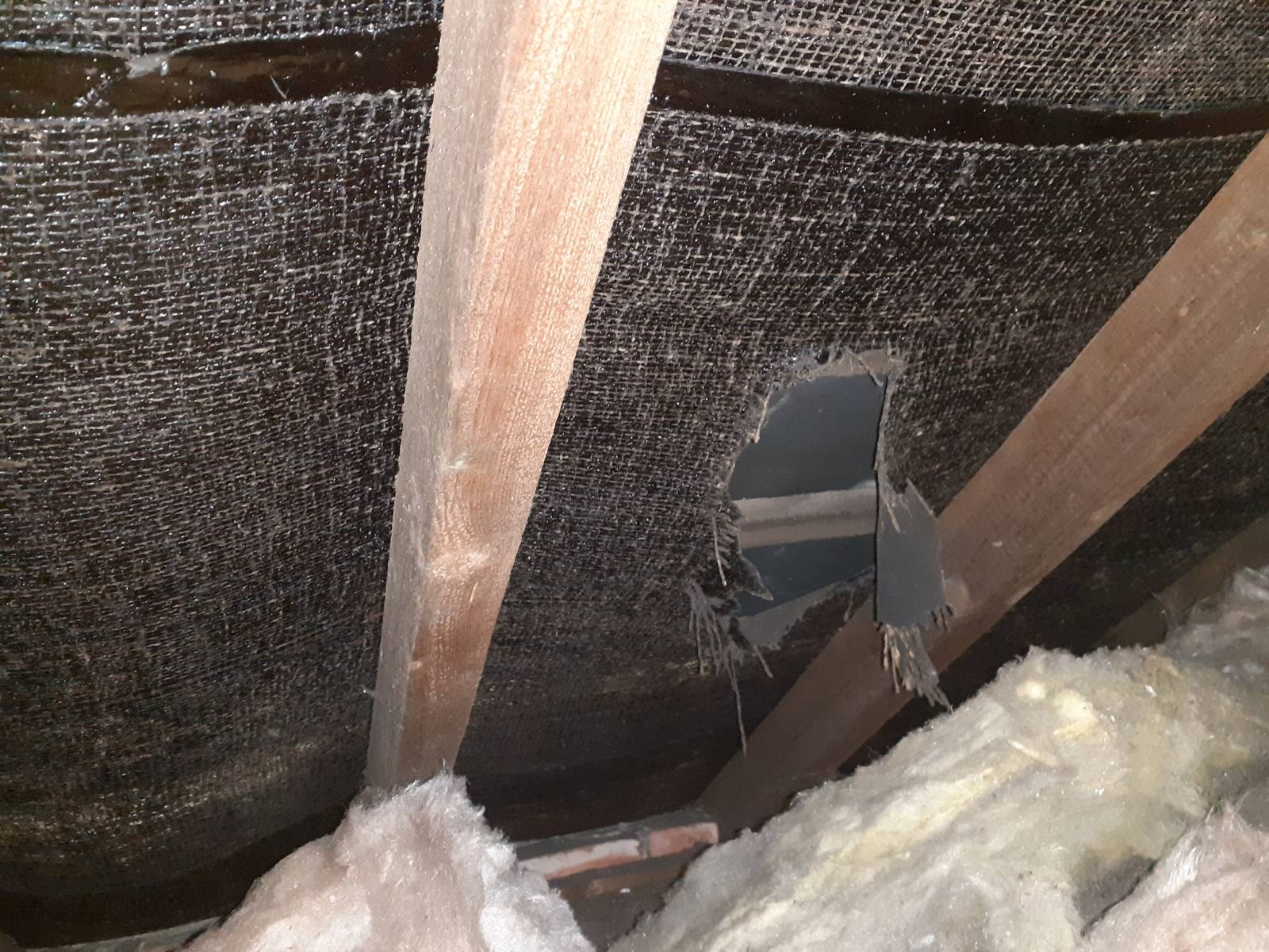 blog-image-rips-membrane